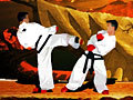 TaeKwon-Do অনলাইনে খেলা