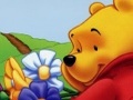 Pooh লুকানো অবজেক্ট Winnie অনলাইনে খেলা