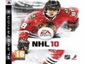 NHL 10 জিগস অনলাইনে খেলা